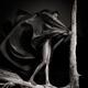 Dramatic fine art portrait of a beautiful black woman in flying black... (thumbnail)