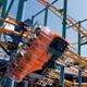 Roller Coaster... (thumbnail)