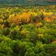 Ontario Fall Nature Scenery... (thumbnail)