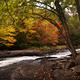 Ontario Autumn Scenery... (thumbnail)