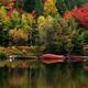 Docked Boats. Fall Nature Scenery... (thumbnail)