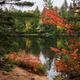 Ontario Autumn Scenery... (thumbnail)