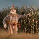Scarecrow in a Corn Field... (thumbnail)