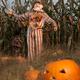 Scarecrow in a Corn Field... (thumbnail)