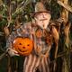 Scarecrow with a Carved Pumpkin  in a Corn Field... (thumbnail)