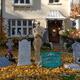 Decorated for Halloween House... (thumbnail)
