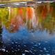 Fall Nature Scenery... (thumbnail)