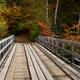 Bridge over a River Fall Nature Scenery... (thumbnail)