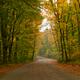 Road Through Fall Scenery... (thumbnail)