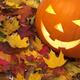 Carved Pumpkin on Fallen Leaves... (thumbnail)
