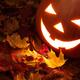 Carved Pumpkin on Fallen Leaves... (thumbnail)