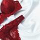 Red Lacy Underwear on Silky Fabric... (thumbnail)