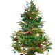 Decorated Christmas Tree... (thumbnail)