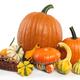 Pumpkins and Gourds... (thumbnail)