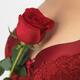 Woman Holding a Red Rose... (thumbnail)