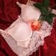Red Rose and Lingerie... (thumbnail)