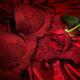 Red Rose and Lingerie... (thumbnail)