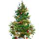 Decorated Christmas Tree... (thumbnail)