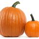 Two Pumpkins... (thumbnail)