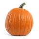 Large Pumpkin... (thumbnail)