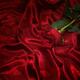 Red Rose on Silky Fabric... (thumbnail)