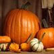 Pumpkins and Gourds Still Life... (thumbnail)