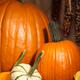 Pumpkins and Gourds Still Life... (thumbnail)