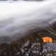 Red Maple Leaf Lying Close to Water Stream... (thumbnail)