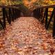 Fall Nature Scenery of a Bridge... (thumbnail)