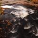 Cascade Waterfall Fall Nature Scenery... (thumbnail)