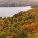 Aerial Fall Nature Scenery of a Forest... (thumbnail)