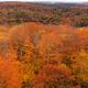 Aerial Fall Nature Scenery of a Forest... (thumbnail)