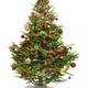 Decorated Christmas Tree... (thumbnail)