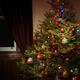 Decorated Christmas Tree... (thumbnail)