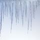 Melting Icicles... (thumbnail)