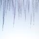 Melting Icicles... (thumbnail)