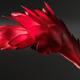 Red Ginger Alpinia Purpurata Flower... (thumbnail)