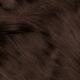 Brown Hair... (thumbnail)