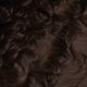 Curly Brown Hair... (thumbnail)