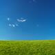 Grassland Landscape Under Blue Sky... (thumbnail)