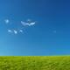 Grassland Landscape Under Blue Sky... (thumbnail)
