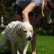 Young Woman Washing Her Dog... (thumbnail)