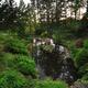 Toronto High Park... (thumbnail)