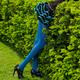 Legs in Blue Stockings... (thumbnail)