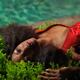 Young Woman in Red Dress at the Pool... (thumbnail)