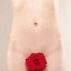Nude woman body front view with a red rose covering her vagina... (thumbnail)