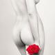 Beautiful Naked Woman with a Rose... (thumbnail)