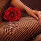 Woman in Fishnet Bodystocking with a Rose... (thumbnail)