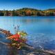 Killarney Provincial Park in Fall... (thumbnail)