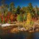 Beaver Pond Fall Nature Scenery... (thumbnail)